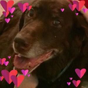 Meet your Posher, Helene